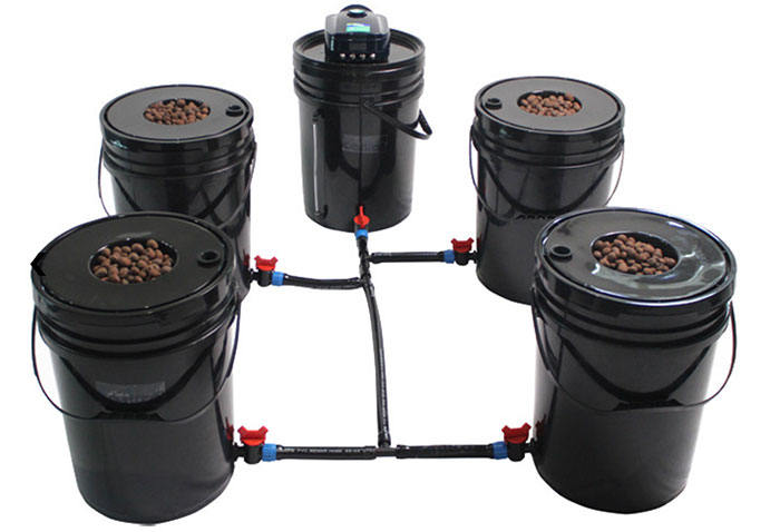 Grow1 Deep Water Culture Bucket Systems