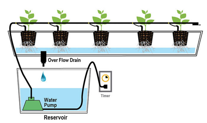 drip hydroponic system