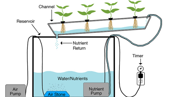 Nutrient Film Technique (NFT)