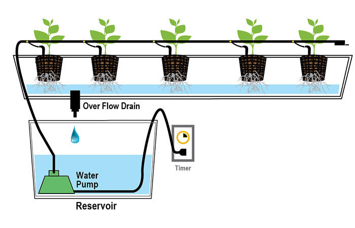 Build Your Own Hydroponic Drip System!