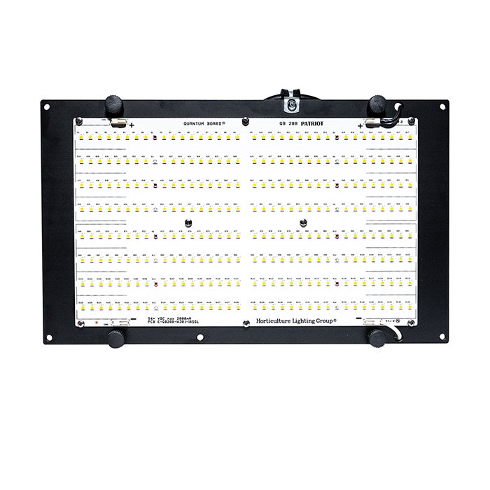 Best Low Cost Starter LED Grow Light