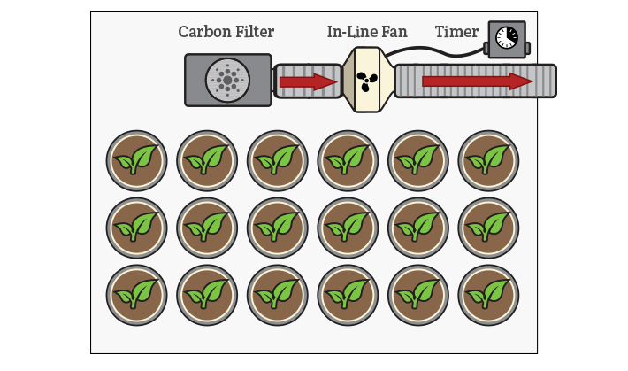 grow room fan on timer