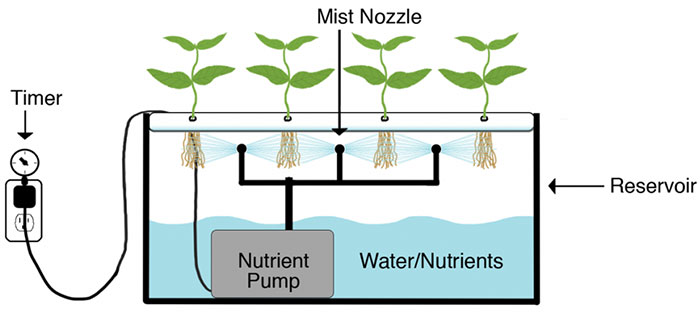 Aeroponic Systems