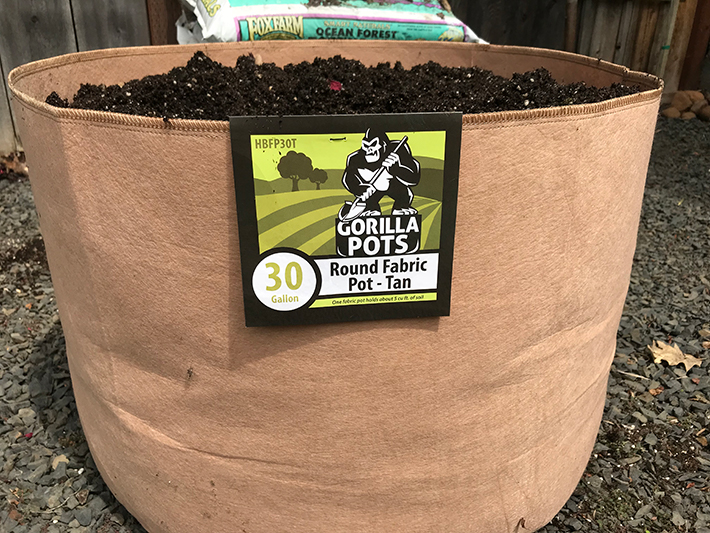 Gorilla Pots fabric pot with soil for indoor and outdoor garden