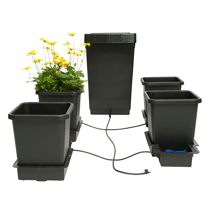 Active Aqua Rs5galsys Root Spa 5 Gallon Hydroponic Bucket Deep Water Culture Grow Kit System with Multi-Purpose Air Hose and Air Pump, Black