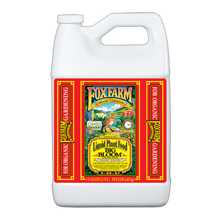 Big Bloom Liquid Concentrate, 1 gal