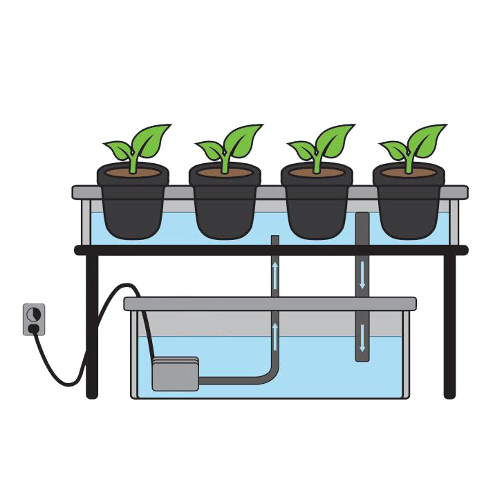 Ebb and Flow Hydroponic System Creator