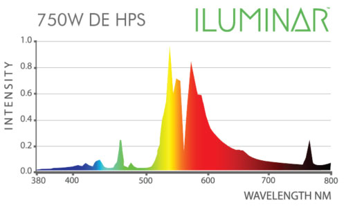 Iluminar 600750 Watt Double Ended Grow Light 600 Watt Double Ended Hps