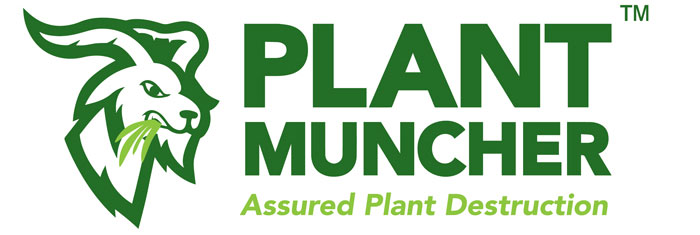 Plant Muncher Plant Waste Shredder