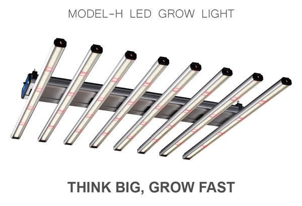 ThinkGrow Model-H