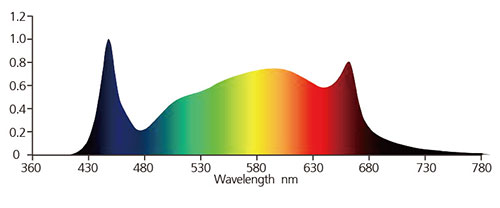 White Bar Spectrum