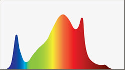 PHOTOBIO S4 Full Spectrum