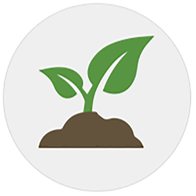 Soil Nutrients Icon