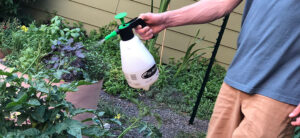 How To Foliar Spray: Feed & Protect Plants At The Leaves!