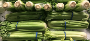 How To Grow Hydroponic Celery