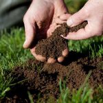 Garden Soil and Nutrient Solution Testing - pH, TDS, and More!