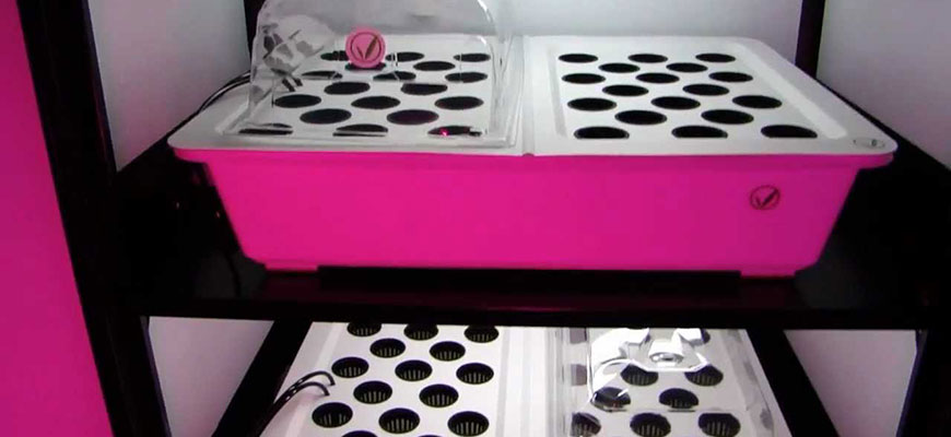 How To Build A Diy Stealth Grow Box Hydrobuilder Learning Center