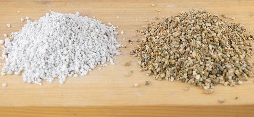 Vermiculite vs Perlite: Which is Best for Your Potted Plants