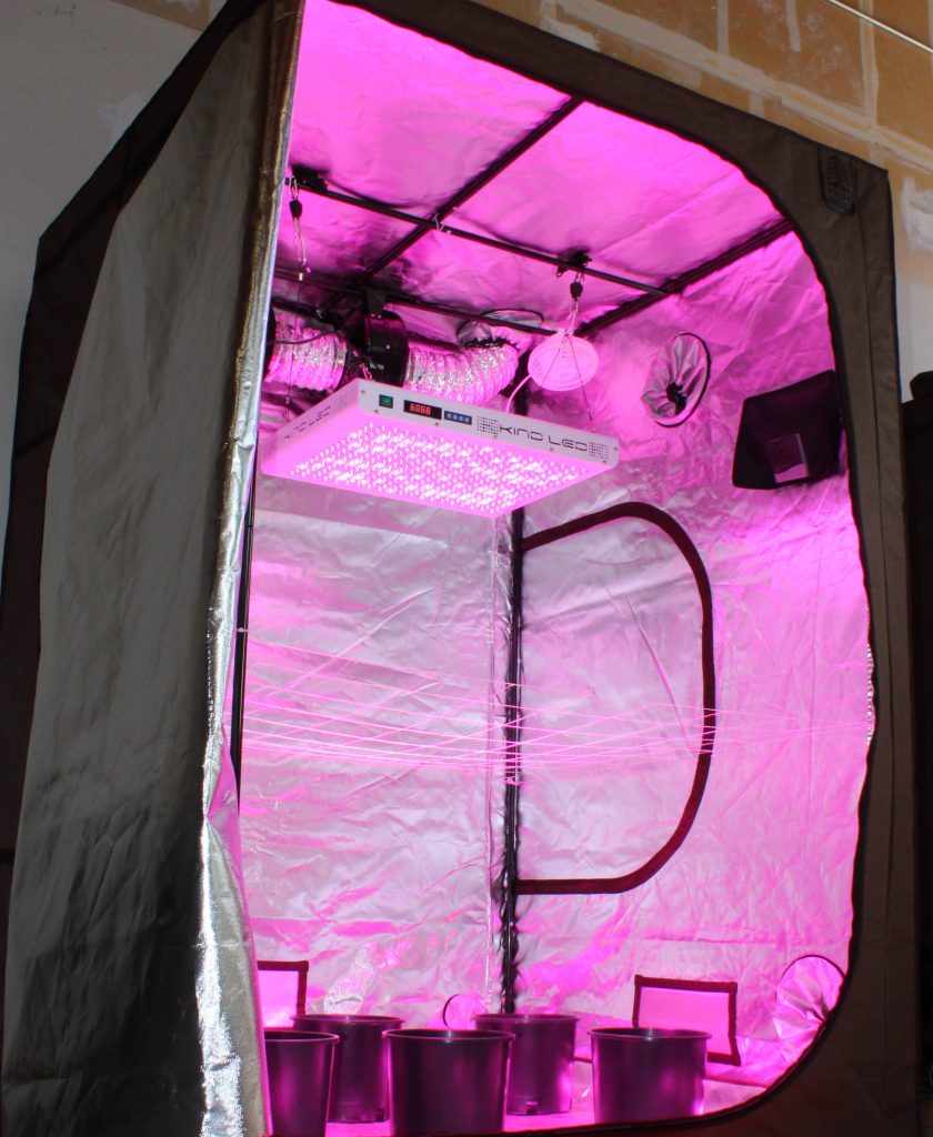 Grow Tent Setup Guide Hydrobuilder Learning Center