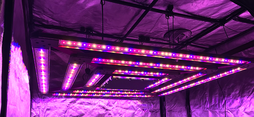 Grow Lights & Hydroponics Supplies at Hydrobuilder.com