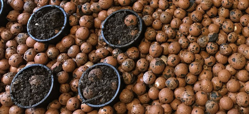 Details about   Clay Pebbles Growing Media Hydroponics Supplies Easy To Use Reusable Practical 