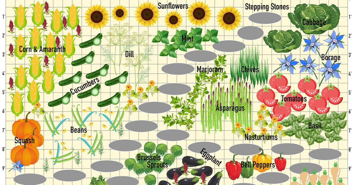 a-printable-companion-planting-chart-food-gardening-network