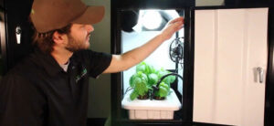Grow Tents Vs Cabinets Hydrobuilder Learning Center