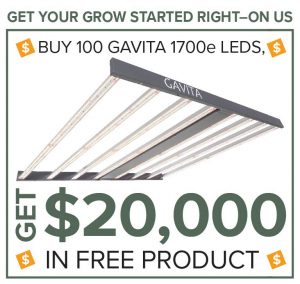 gavita 1700e hydrobuilder participating