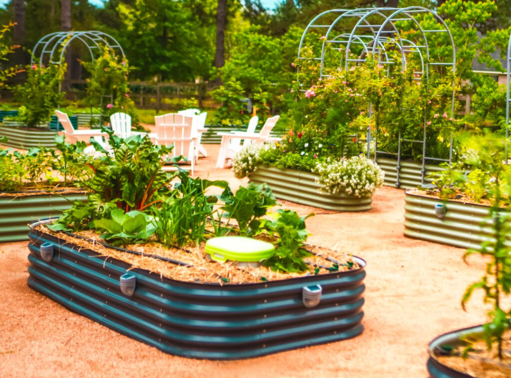vego garden raised beds